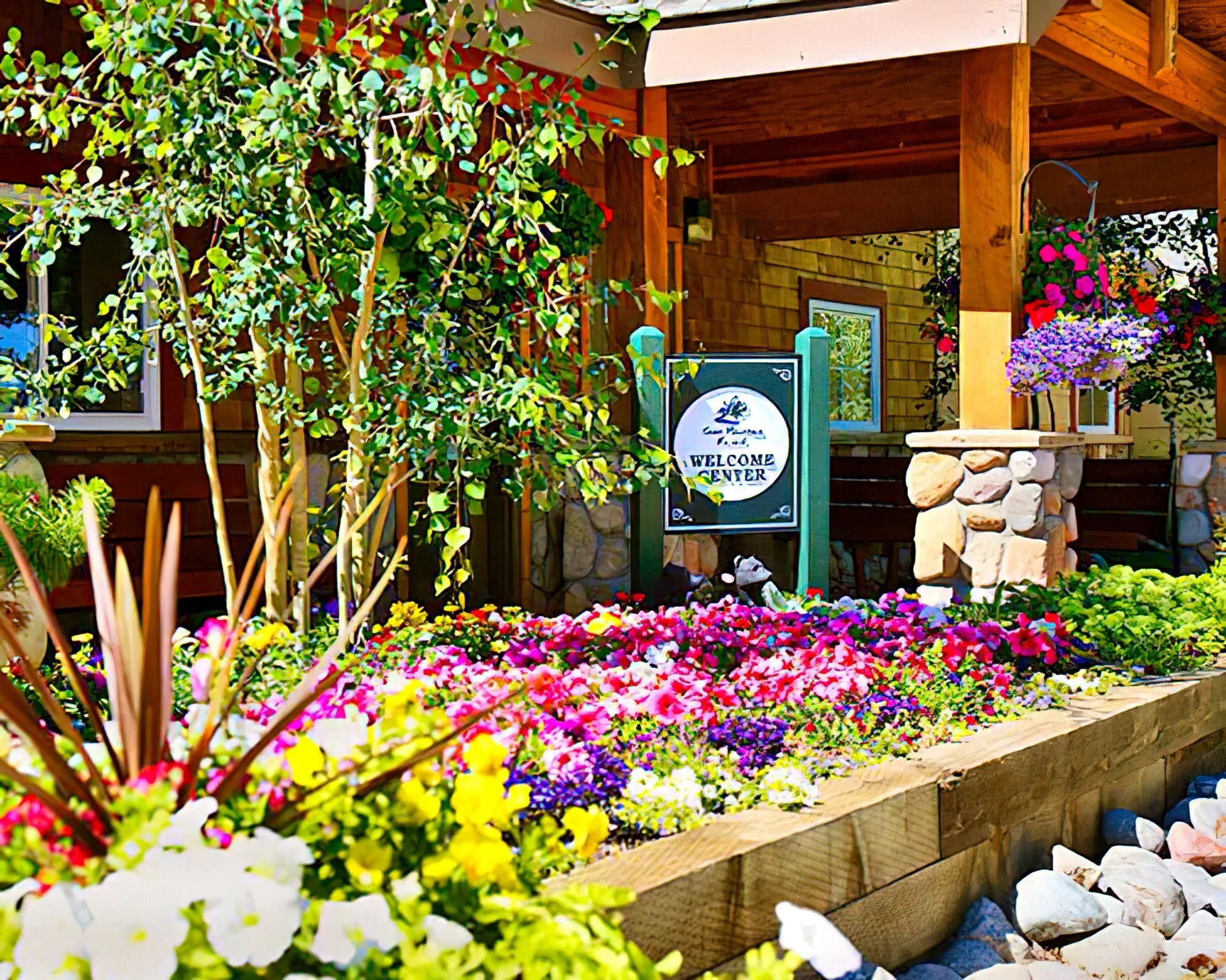 Swan Mountain Resort